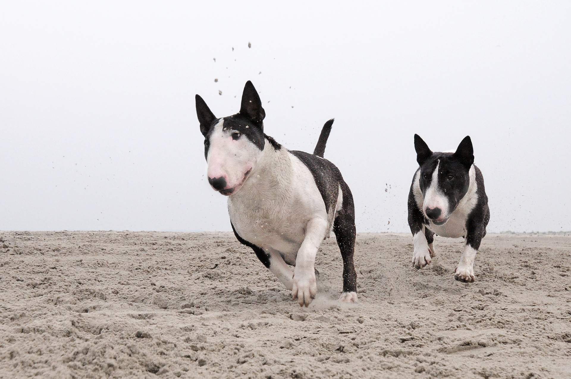 01 STANDAARD MBT (2)