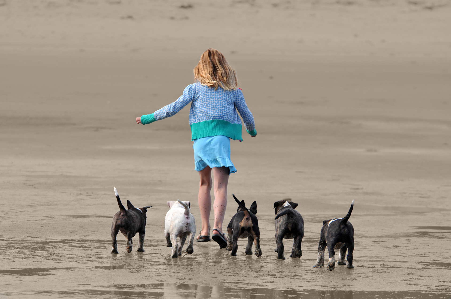 02 STANDAARD MBT (1)