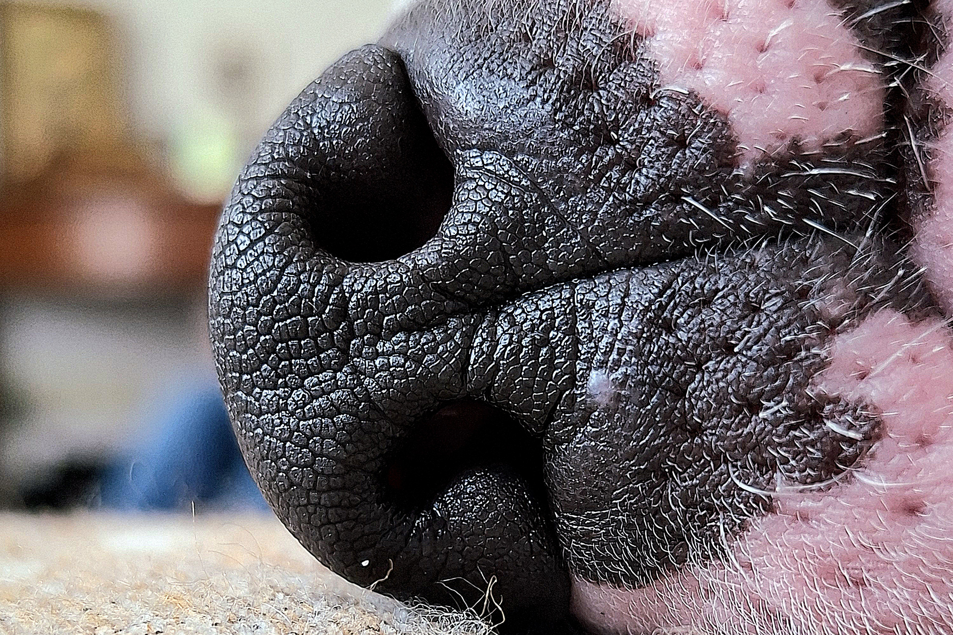 05 STANDAARD MBT (1)