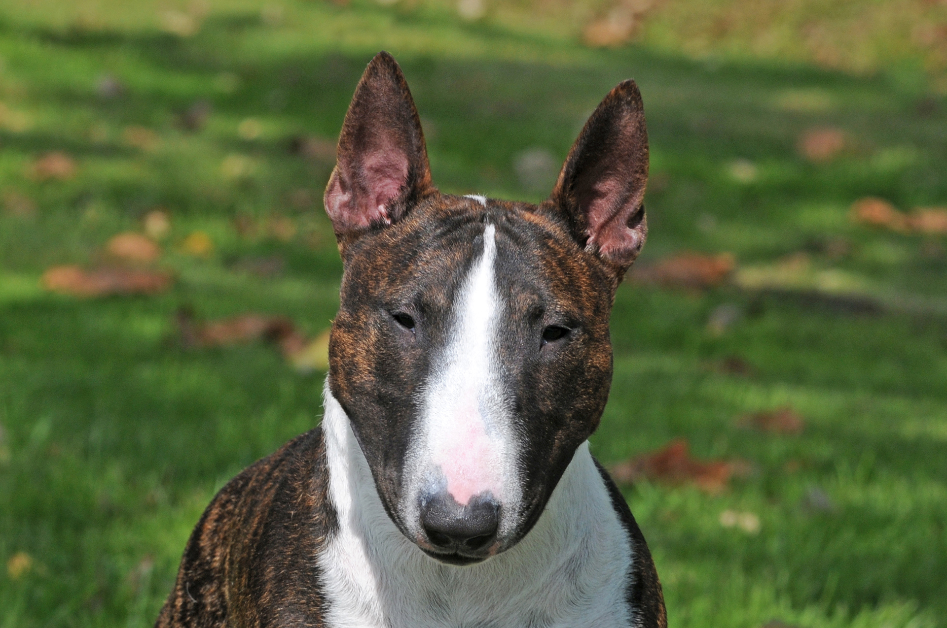 07 STANDAARD MBT (1)