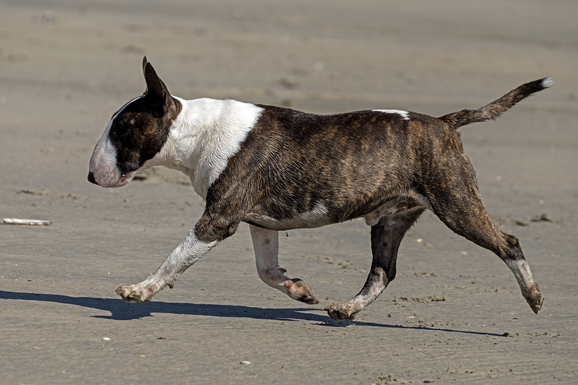 13 STANDAARD MBT (1)