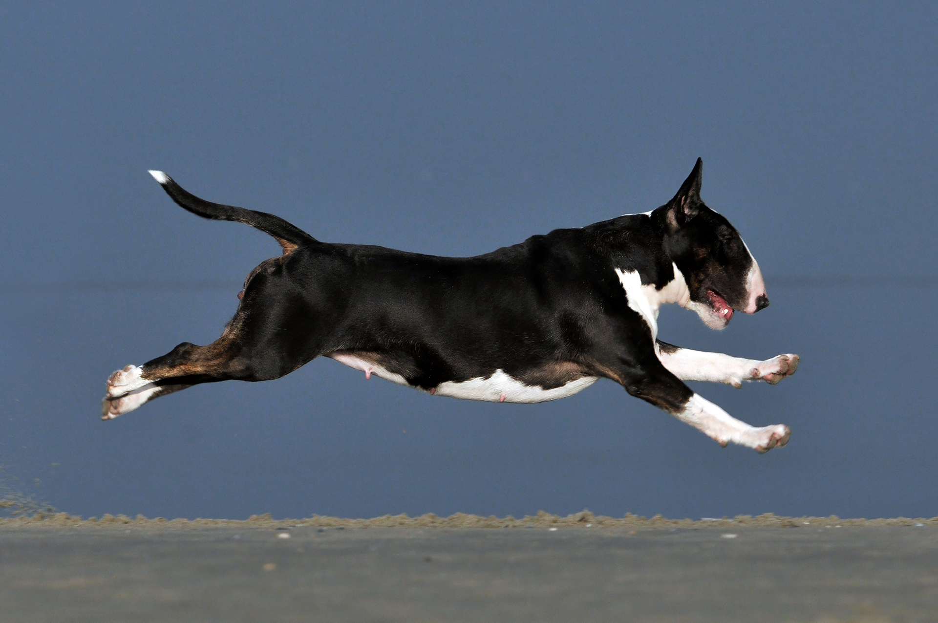 14 & 15 STANDAARD BT