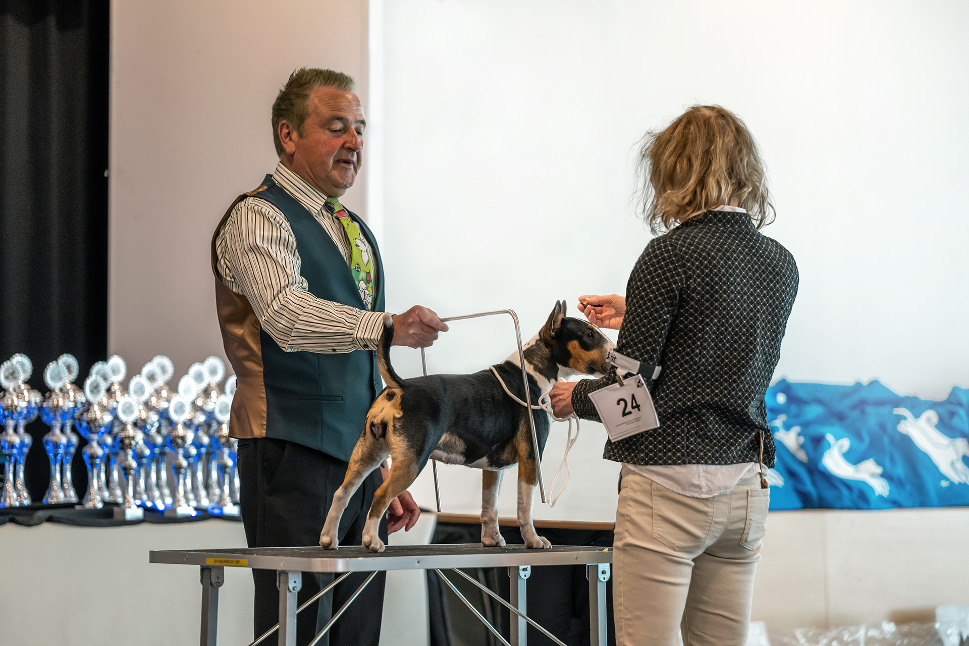 16 STANDAARD MBT (1)