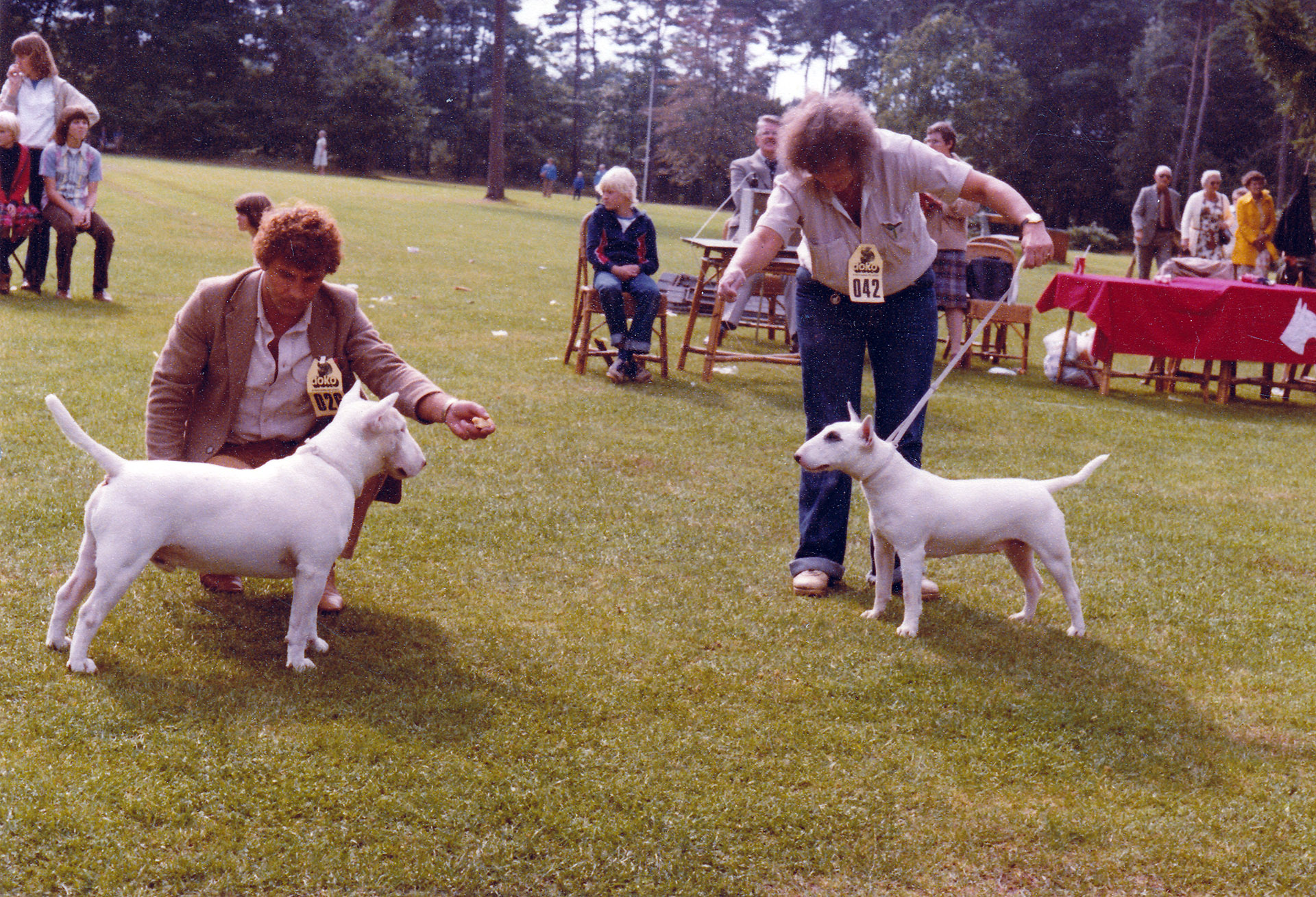 NBTC_ABRAXAS_POLYTELIS_4