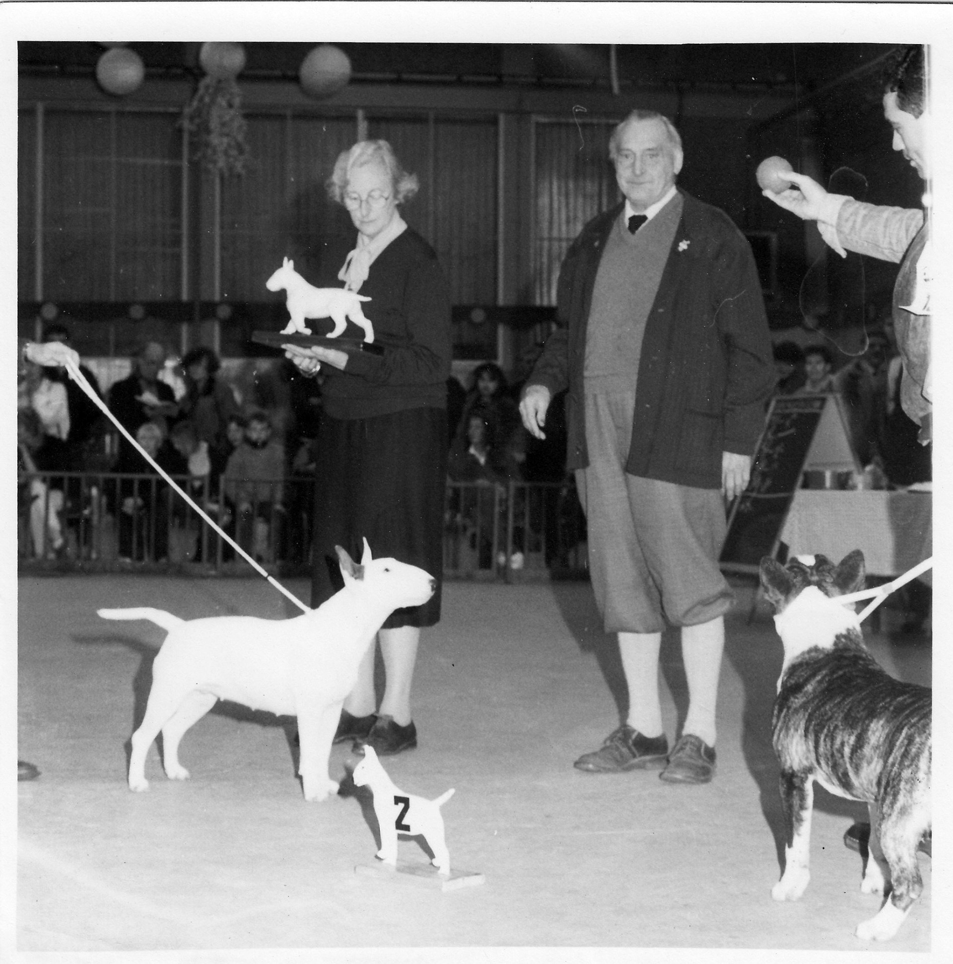 NBTC_LANGHOUT_ENGEL_2